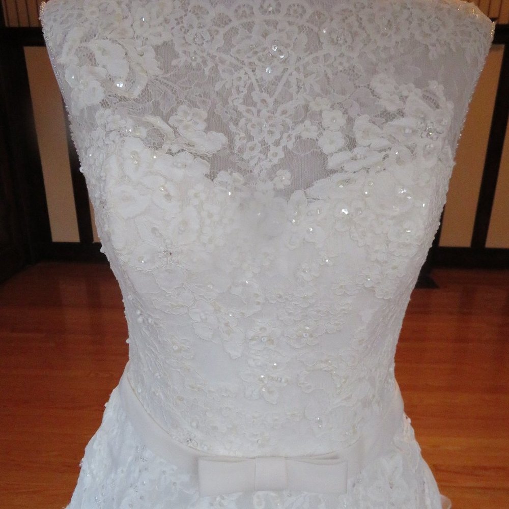 La Sposa by Pronovias Wedding Dress Hakem - Picture 7 of 8